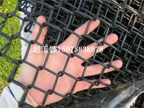 勾花網(wǎng)護欄網(wǎng)